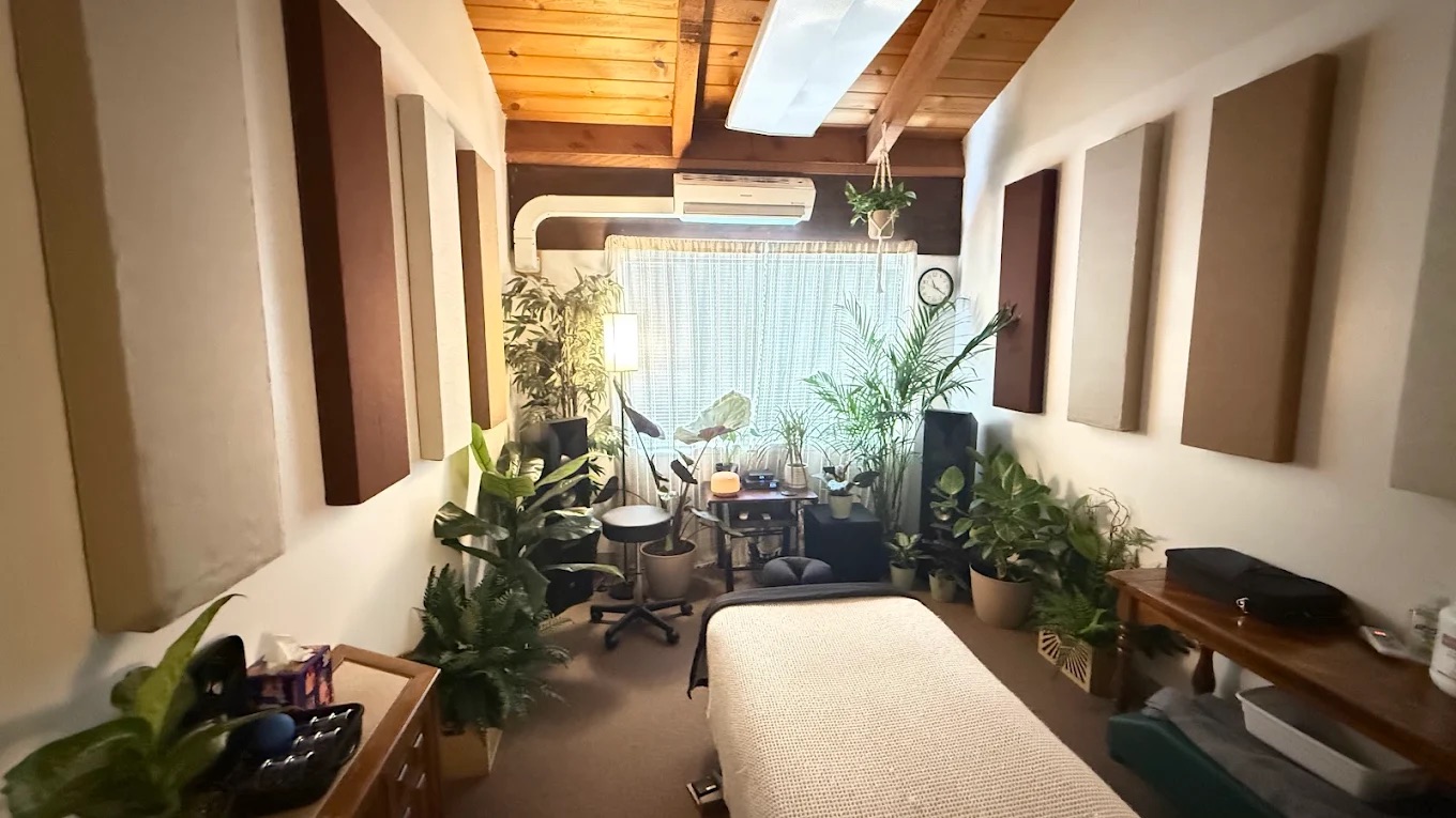 Massage studio with skylight and plants